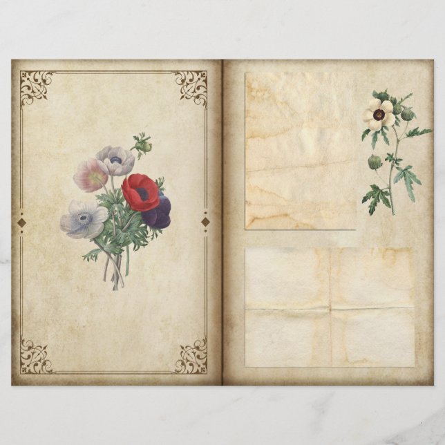 Vintage Poppies Victorian Botanical Journal Page (Front)