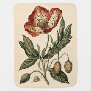 Vintage Poppy Botanical Illustration Baby Blanket