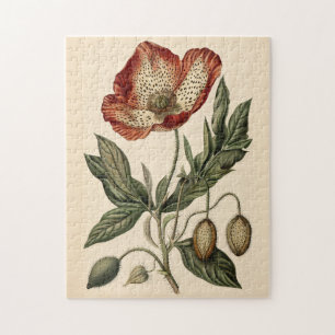 Vintage Poppy Botanical Illustration Jigsaw Puzzle