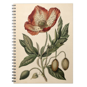 Vintage Poppy Botanical Illustration Notebook