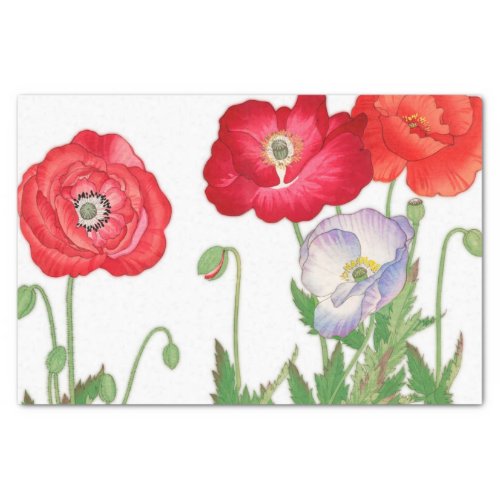 Vintage poppy flower Decoupage Tissue Paper