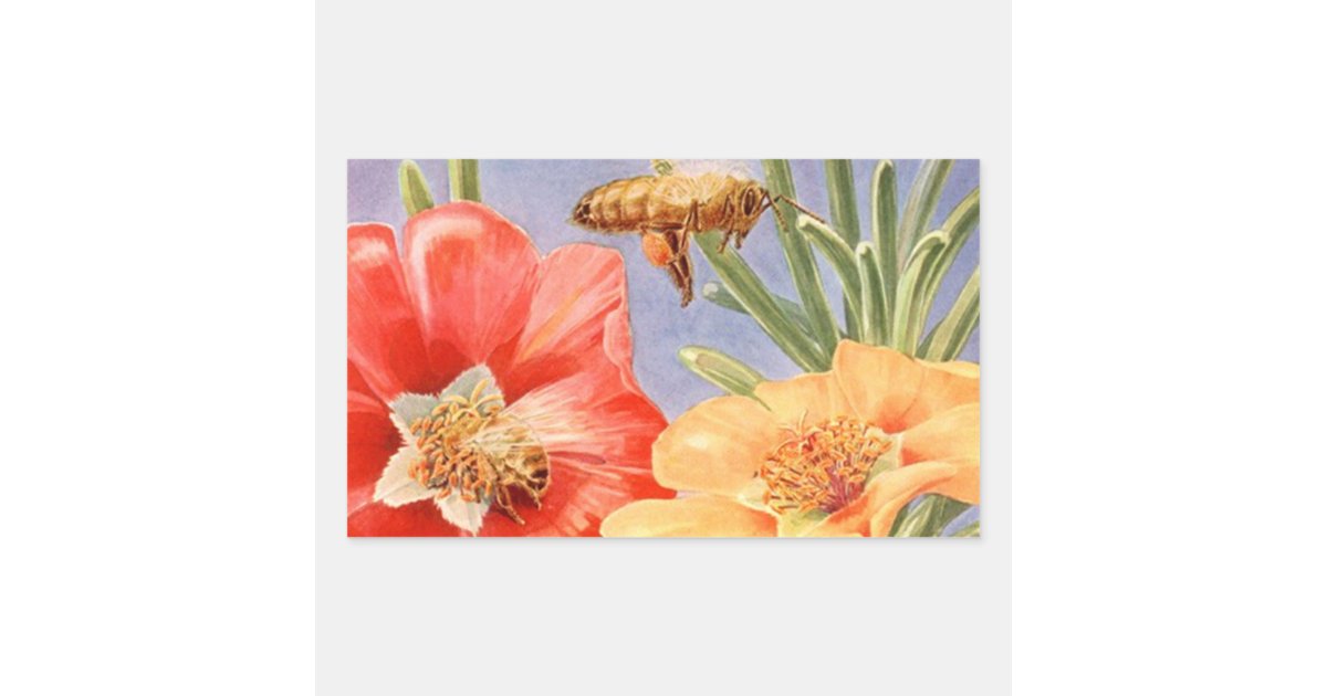 Pollen Sticker Vintage Poppy Flowers Honey Bee Pollen Stickers | Zazzle
