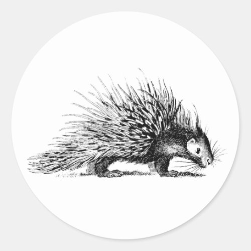 Vintage Porcupine Illustration _ 1800s Porcupines Classic Round Sticker