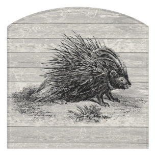 Vintage Porcupine Illustration Door Sign