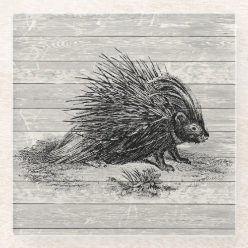 Vintage Porcupine Illustration Glass Coaster