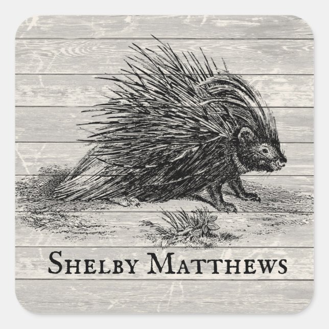 Vintage Porcupine Illustration Personalized Square Sticker (Front)