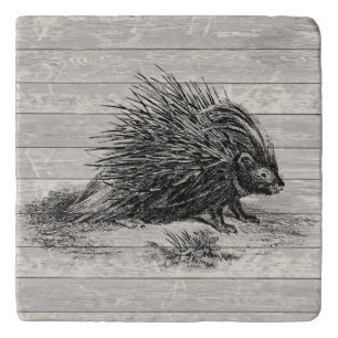 Vintage Porcupine Illustration Trivet