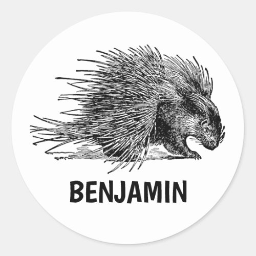 Vintage Porcupine With Name Personalized School Classic Round Sticker
