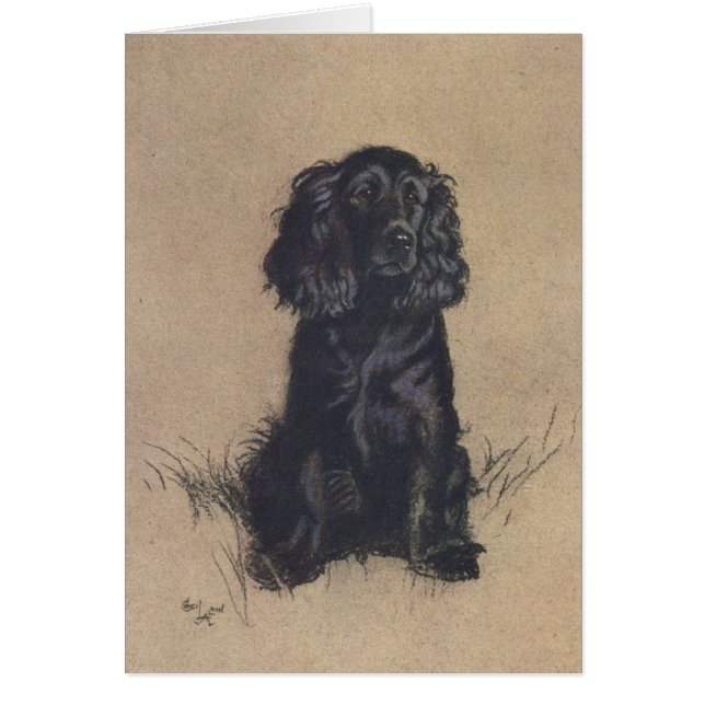 Vintage Portrait of a Cocker Spaniel, (Front)