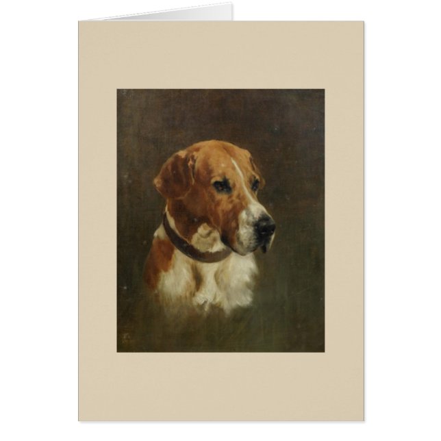 Vintage - Portrait of a Foxhound Dog, (Front)