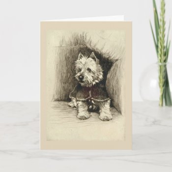 Vintage - Portrait Of A Westie Card by AsTimeGoesBy at Zazzle