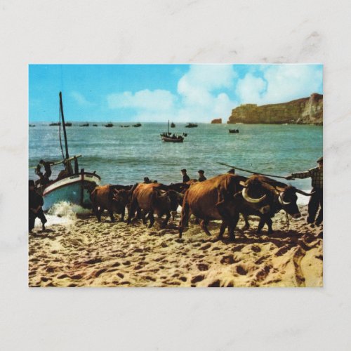 Vintage Portugal   Nazare beaching fishing boats Postcard