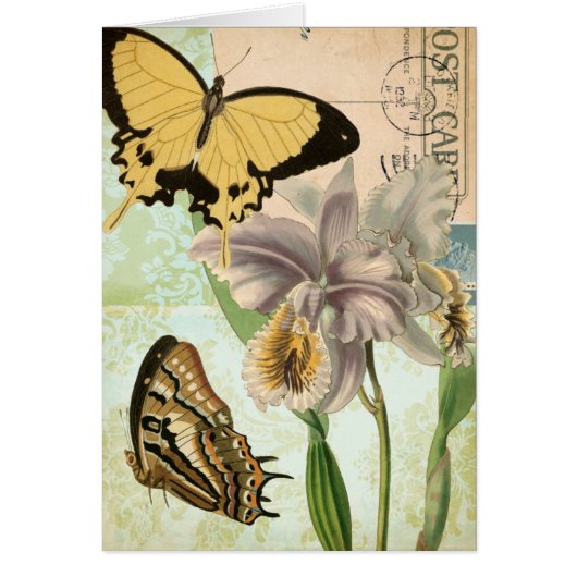 Vintage Postcard with Butterflies and Flowers (Front)