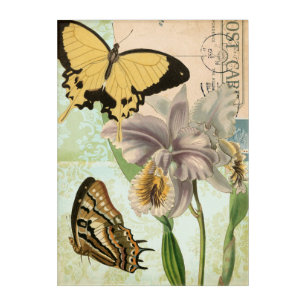 Vintage Postcard with Butterflies and Flowers Acrylic Print
