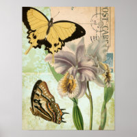 Vintage Postcard with Butterflies and Flowers