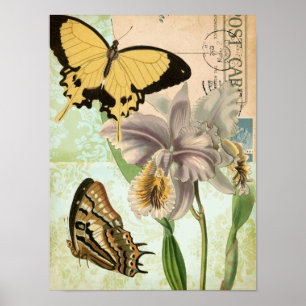 Vintage Postcard with Butterflies and Flowers Poster