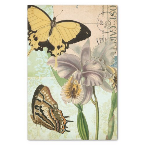 Vintage Postcard with Butterflies and Flowers Tissue Paper
