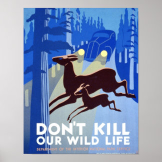 Vintage Poster - Don't kill our wildlife