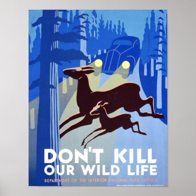 Vintage Poster - Don't kill our wildlife (Front)