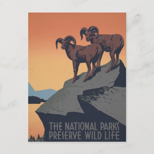 Vintage Poster Promoting Travel To National Parks Postcard