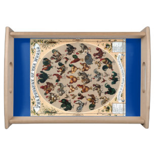 Vintage poultry birds chicken and rooster chart serving tray