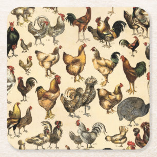 Vintage Poultry of the World Chicken Breed Art Square Paper Coaster