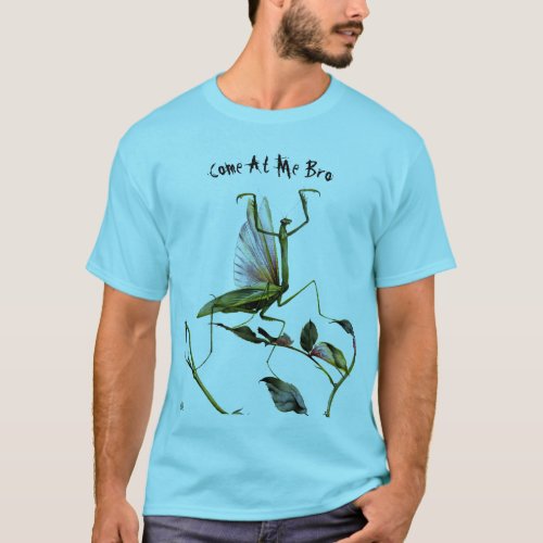 Vintage Praying Mantis in Defense Posture Art T_Shirt
