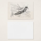Vintage Praying Mantis Insect Template (Front & Back)