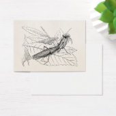 Vintage Praying Mantis Insect Template (Desk)