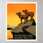 Wildlife Preservation Vintage Poster | Zazzle