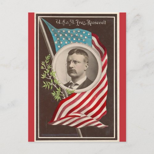 Vintage President Theodore Roosevelt and Flag Postcard