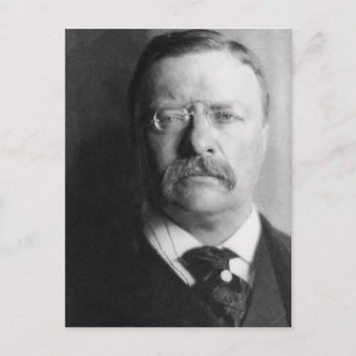 Vintage President Theodore Roosevelt Postcard