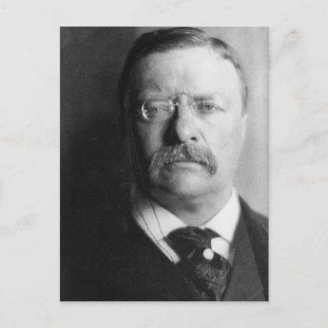 Vintage President Theodore Roosevelt Postcard (Front)