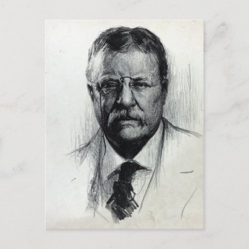 Vintage President Theodore Teddy Roosevelt Postcard