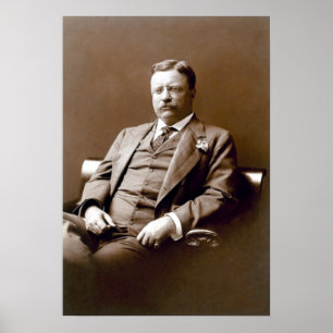 Vintage President Theodore Teddy Roosevelt Poster