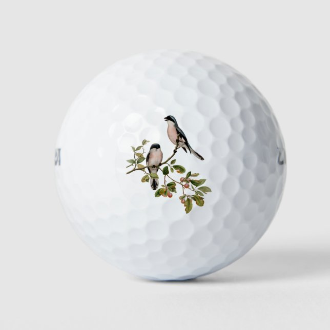Vintage Pretty Birds on a Branch Golf Balls (Front)