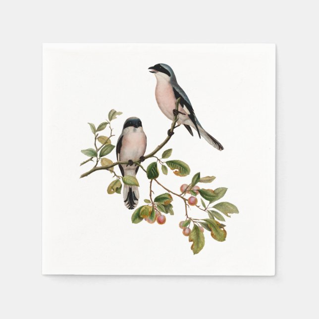 Vintage Pretty Birds on a Branch Paper Napkins (Front)