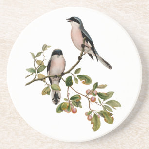 Vintage Pretty Birds on a Branch Sandstone Coaster