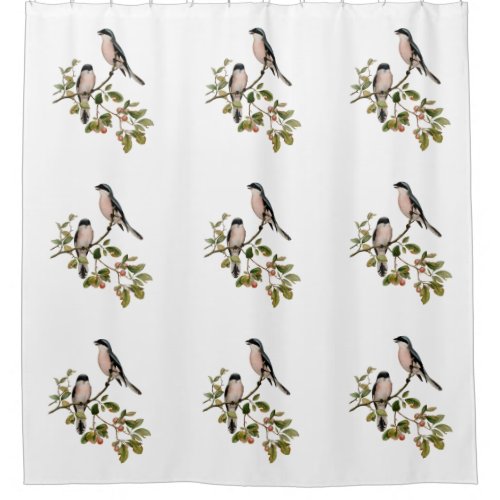 Vintage Pretty Birds on a Branch Shower Curtain