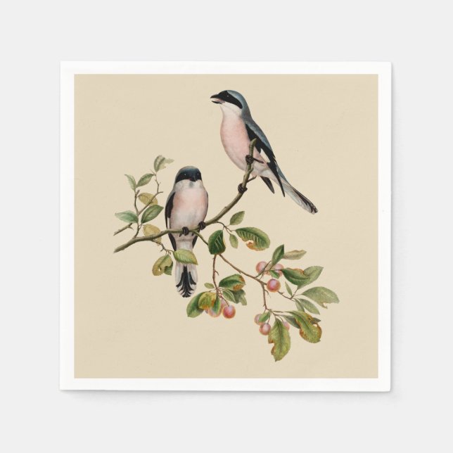 Vintage Pretty Birds on Beige Napkins (Front)