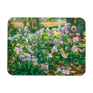 Vintage pretty flowers Windflowers illustration Magnet