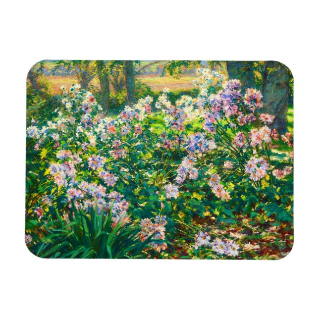 Vintage pretty flowers Windflowers illustration Magnet (Horizontal)