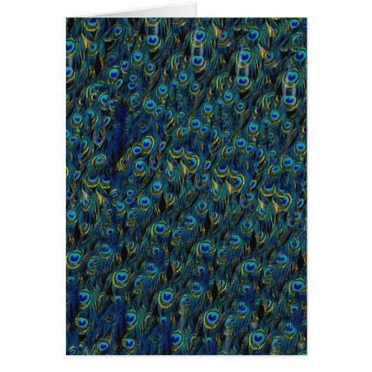 Vintage Pretty Peacock Bird Feathers Wallpaper (Front)