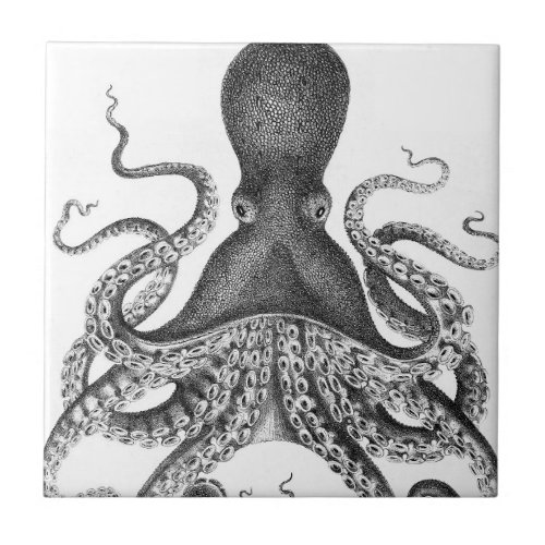 Vintage Print Octopus Ceramic Tile