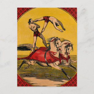 Vintage Print Of Bareback Riders Perfoming Stunts Postcard