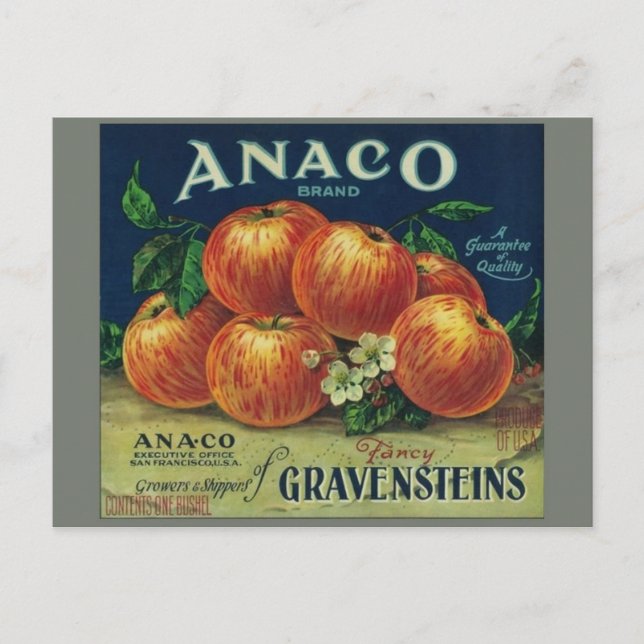 Vintage Produce Crate Label Postcard (Front)