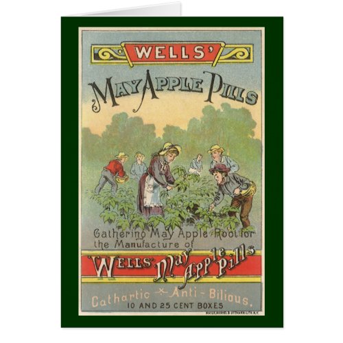 Vintage Product Label Art Wells May Apple Pills