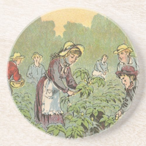 Vintage Product Label Art Wells May Apple Pills Coaster
