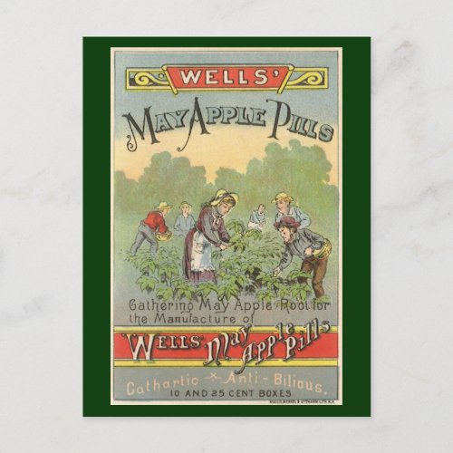 Vintage Product Label Art Wells May Apple Pills Postcard