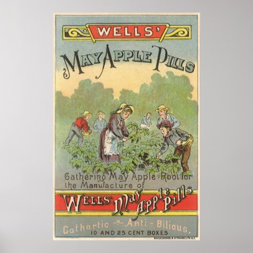 Vintage Product Label Art Wells May Apple Pills Poster